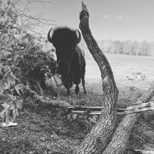 Meet your Posher, Dustin